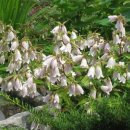 우남농장 이미지