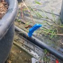 신기루농장 이미지