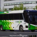 푸른솔관광 이미지