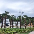 태산조경건설 이미지