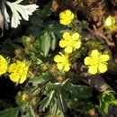 부래미마을 이미지