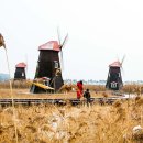 솔빛공원 1 이미지