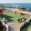 외도339 제주 애견동반 카페 잔디 오션뷰 <b>외도</b><b>339</b>