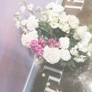 플라워 쇼룸 이미지