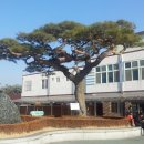 김천역 이미지