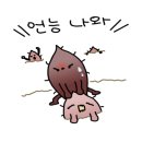 문화유산, 역사가 보인다 이미지