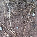 고을마당 이미지