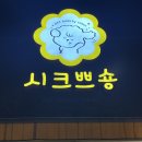 시크쁘숑 이미지