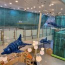 경기도어린이박물관 이미지