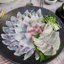 무선주공3차A | 부산 광안리 횟집 경포횟집 A세트 코스 후기 회 리필 가능