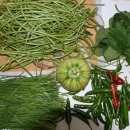 성배농장 이미지