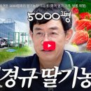 경규농장 네이버블로그