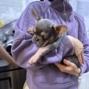 (8월 브런치 콘서트)굿모닝 Tango | 부지런히 운동하고 쇼핑하고 먹은 알찬 일주일 기록