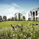 올레리조트 이미지