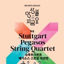 슈투트가르트 페가소스 스트링 콰르텟 핸드메이커