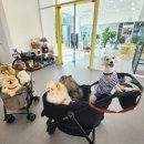 용인(인천)휴게소 이미지