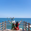 진표농장 | 고성 &amp; 속초 가볼만한곳 BEST 10