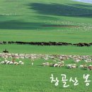 최고의선물 이미지
