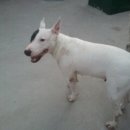 도봉-도봉-2431 이미지