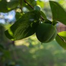 캐트시 | 캐트시펜션 안산 여행 독채 펜션 대부도코스 추천 대부도독채펜션 대부도독채펜션 대부도펜션