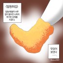 토마토도시락 가수원점 | 5늘을 기록하기