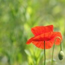 한강시민공원 이미지