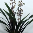 박준수한의원 이미지