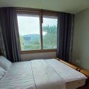 더스테이&도트 이미지