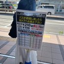 2024-06-0034 | 6 ) 골든위크 오사카 가볼 만한 곳 / 네모필라 꽃 축제, 마이시마 시사이드 파크, 솔직 후기, 정보 및 추천
