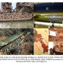 과반농장 | 라오스의 속앓이 -미국도 밉고 태국도 미울 것 같다