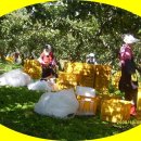 내고1농로 이미지