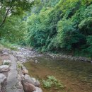 소백산 별빛감성 캠핑장 이미지