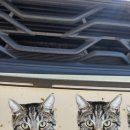 컴인워시 파주운정점 | [내돈내산] 컴인워시 파주운정점 찐오브찐 사용후기