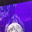 하늘토끼 | 여수 실내 가볼만한곳 아르떼뮤지엄 데이트 달토끼 특별전