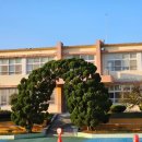 상주동부초등학교 이미지