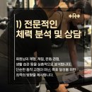 로얄짐 1호점 | 로얄짐 헬린이 일기 – 팔 운동, 팔 뒤쪽 라인 정리 도전기