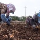 경희일생한의원 이미지