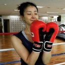 모던복싱 이미지