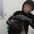 경주 남자머리 다운펌 찾다가 추억까지 소환된 곳, 꿀마카세 후기 :: 머리하다 경주점