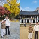 단풍두부 이미지