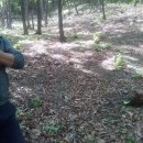 옥천농장 이미지