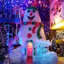 수목원테마파크 이미지