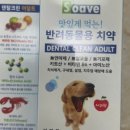 멍냥25영종점