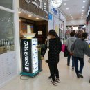 산쪼메 세종 이미지