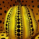 Summit Stay (써밋 스테이) | [미국 뉴욕여행] 써밋 전망대 + 서밋 +내돈내산 후기