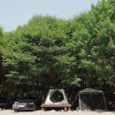 칠갑산자연휴양림 이미지