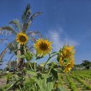 한원리 경로당 이미지