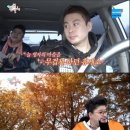 도사컬쳐 이미지