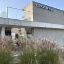 청풍발리호텔 | 제천) 청풍호 이쁜 카페 추천, 사진 잘 나오는 카페 추천 / 콘트리트월