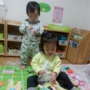 도다미 이미지